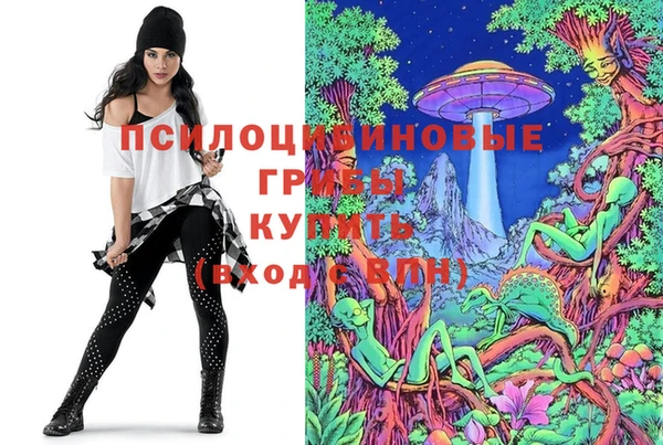 круглые Алексеевка