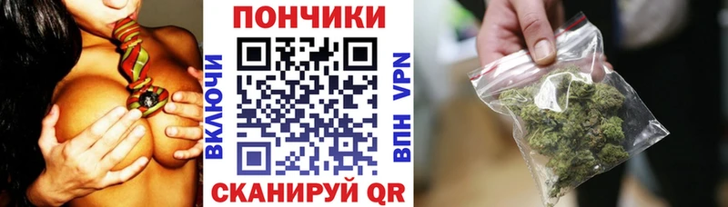 Бошки марихуана план  Жуковка 